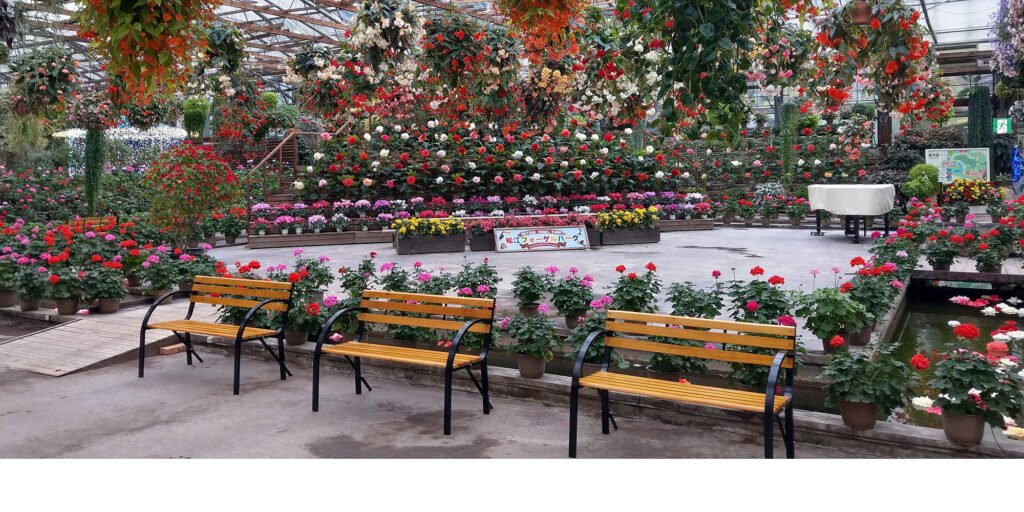 🐦 마쓰에 포겔 파크 이미지 6